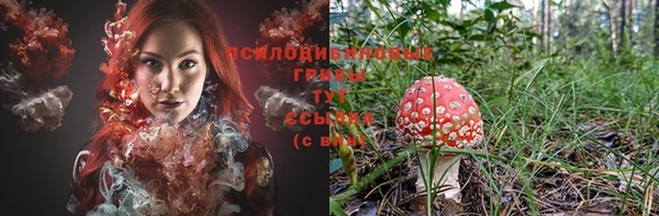 кокс Козельск