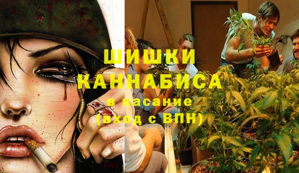 ГАЛЛЮЦИНОГЕННЫЕ ГРИБЫ Кодинск