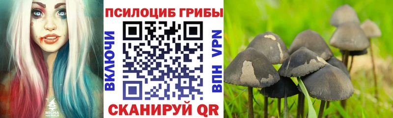 Псилоцибиновые грибы мицелий  Купить где  Вяземский 