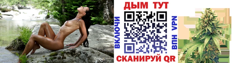Конопля конопля  Купить где  Вяземский 